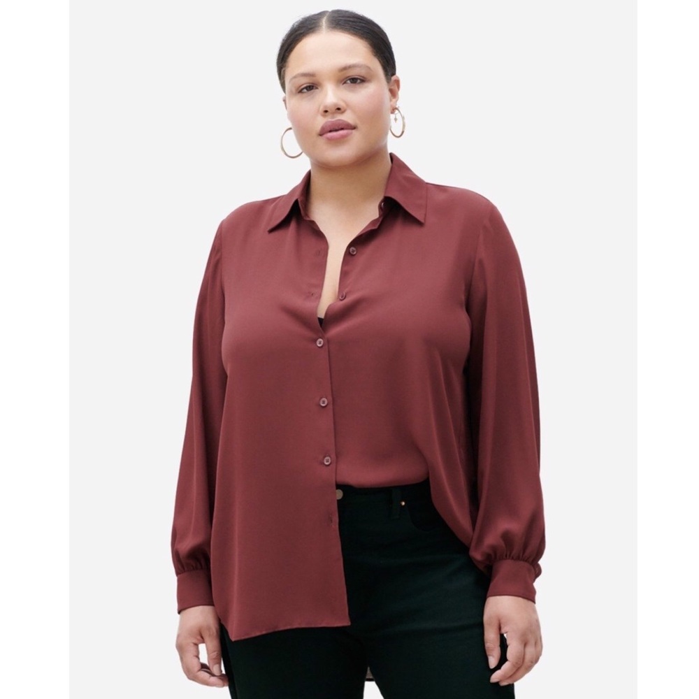 NWT EVERYBODY & EVERYONE Want and Need Top in Tawny Port